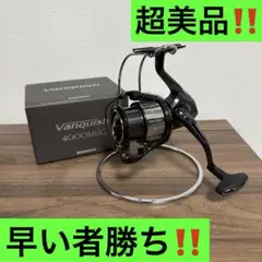 2026年最新】19ヴァンキッシュ 4000mhgの人気アイテム - メルカリ