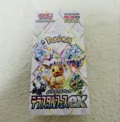 2026年最新】テラスタルフェス boxの人気アイテム - メルカリ