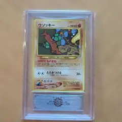 2026年最新】ウソッキー psa10の人気アイテム - メルカリ