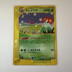 2026年最新】キレイハナeの人気アイテム - メルカリ