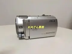 2026年最新】hdr-cx560vの人気アイテム - メルカリ