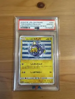 2026年最新】ポケモンセンターヨコハマ ピカチュウの人気アイテム