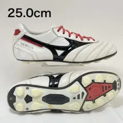 2026年最新】モレリア2japanの人気アイテム - メルカリ