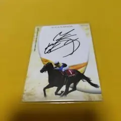 2026年最新】川田将雅 カードの人気アイテム - メルカリ