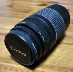 2026年最新】EF 75-300mm F4-5.6 isの人気アイテム - メルカリ