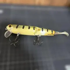 2026年最新】acプラグ ルアーの人気アイテム - メルカリ