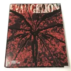 2026年最新】エヴァンゲリオン カードダスマスターズ ワイドの人気