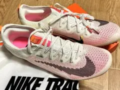 日本未発売 NIKE ズームスーパーフライエリート2 東京五輪モデル 25