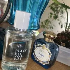 2026年最新】ヴォージュ広場|ローズとレンガの香りの人気アイテム