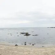 新品2026 ガンバ大阪 アウェイ長袖 No.55 植中朝日 SS-S - メルカリ