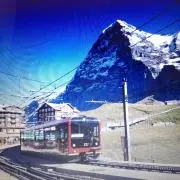 オートフレックスjoy365 SF505Dr ピンスリーブ キャップ付 - メルカリ