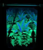 新品未開封 酒井法子 COMPLETE DVD-BOX 予約限定生産・7枚組 - メルカリ