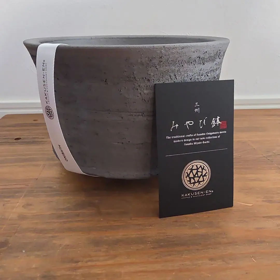 2026年最新】鶴仙園 みやび鉢の人気アイテム - メルカリ