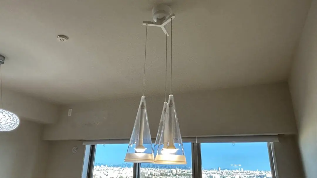 2026年最新】flos fucsiaの人気アイテム - メルカリ