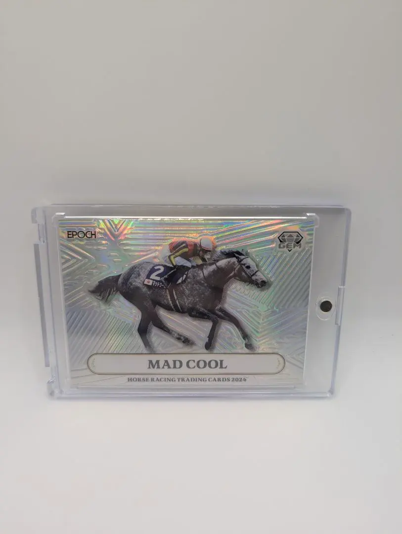 2026年最新】ホースレーシング gemの人気アイテム - メルカリ