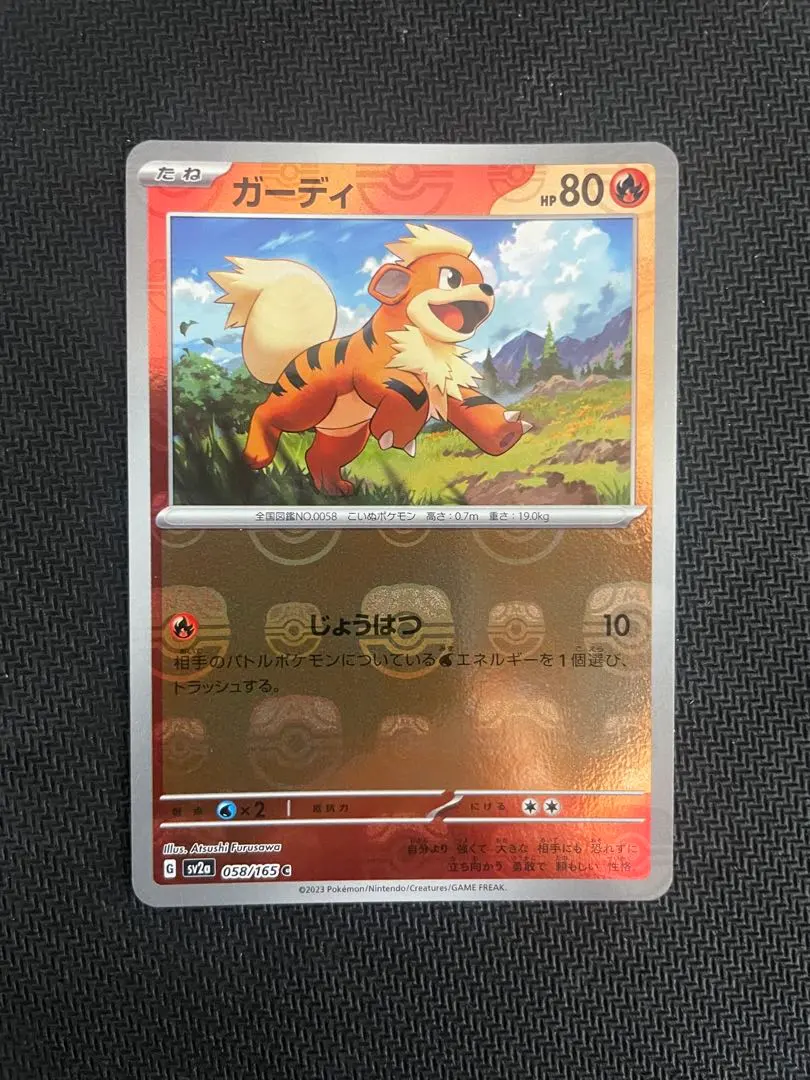 2026年最新】ガーディ マスターボールの人気アイテム - メルカリ