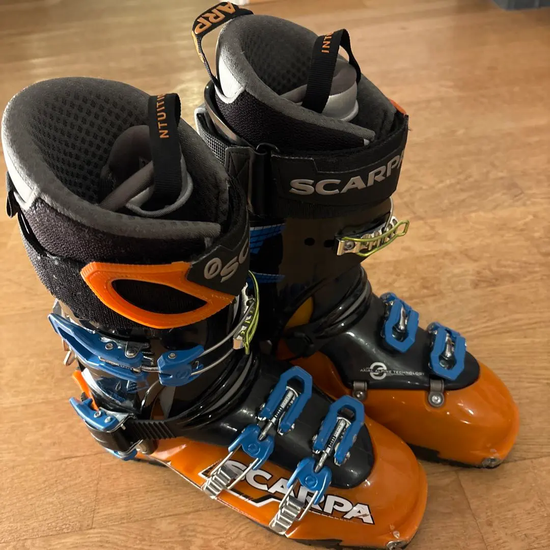 2026年最新】SCARPA スカルパ マエストラーレの人気アイテム - メルカリ