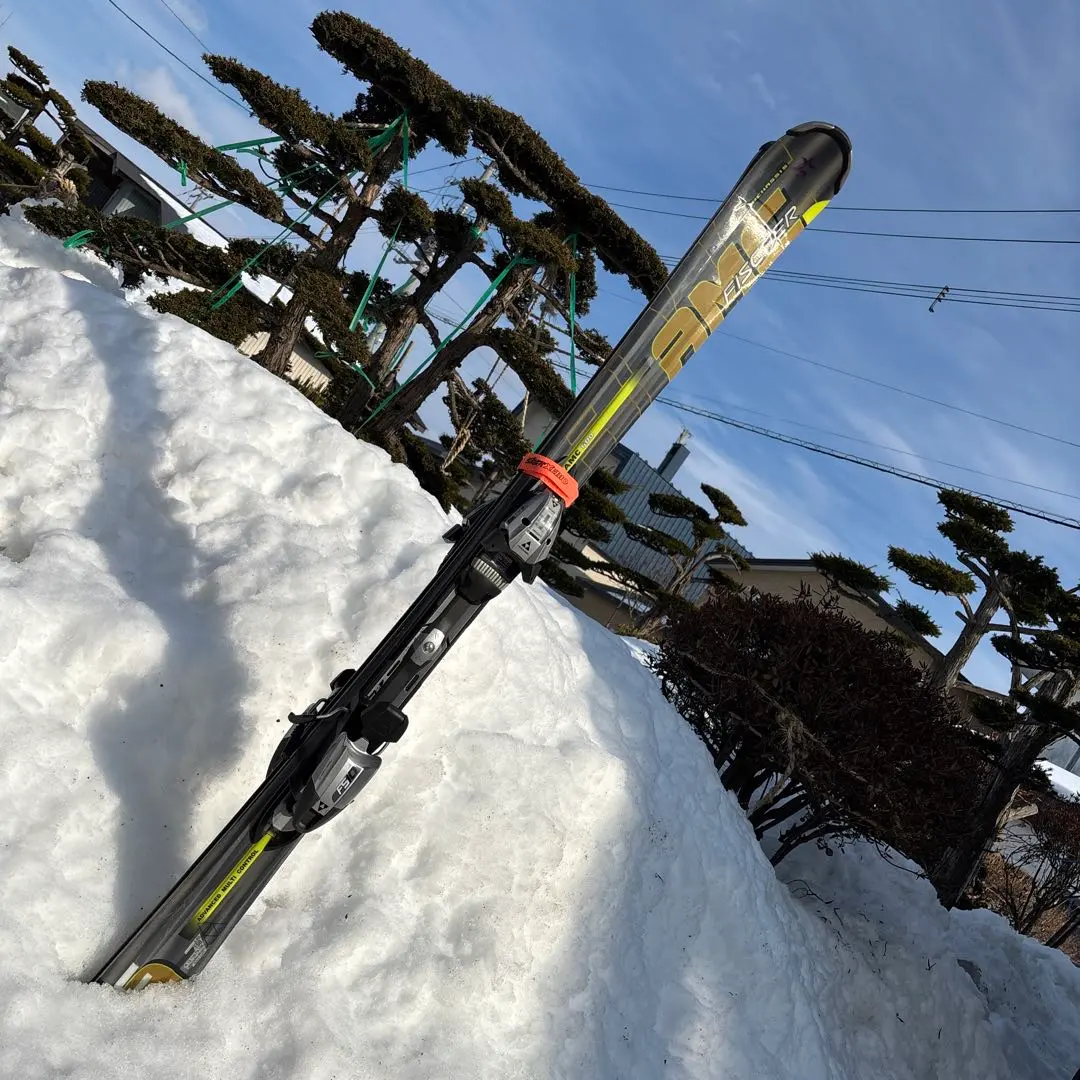 2026年最新】fischer amcの人気アイテム - メルカリ