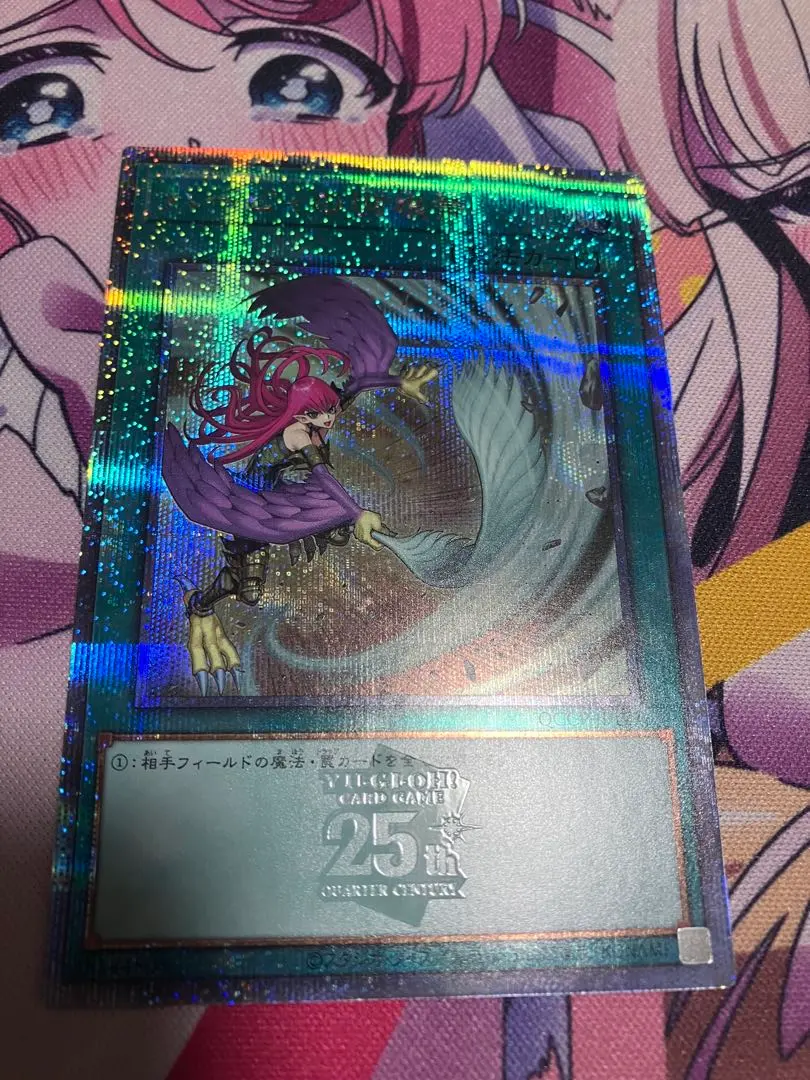 2026年最新】ハーピィの羽根帚 25の人気アイテム - メルカリ