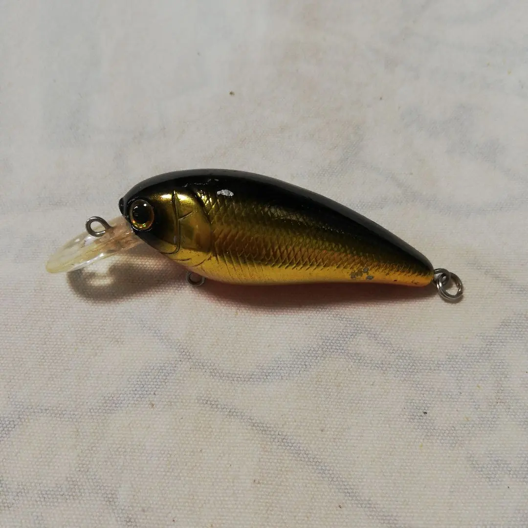 2026年最新】ラッキークラフト リアルベイトの人気アイテム - メルカリ