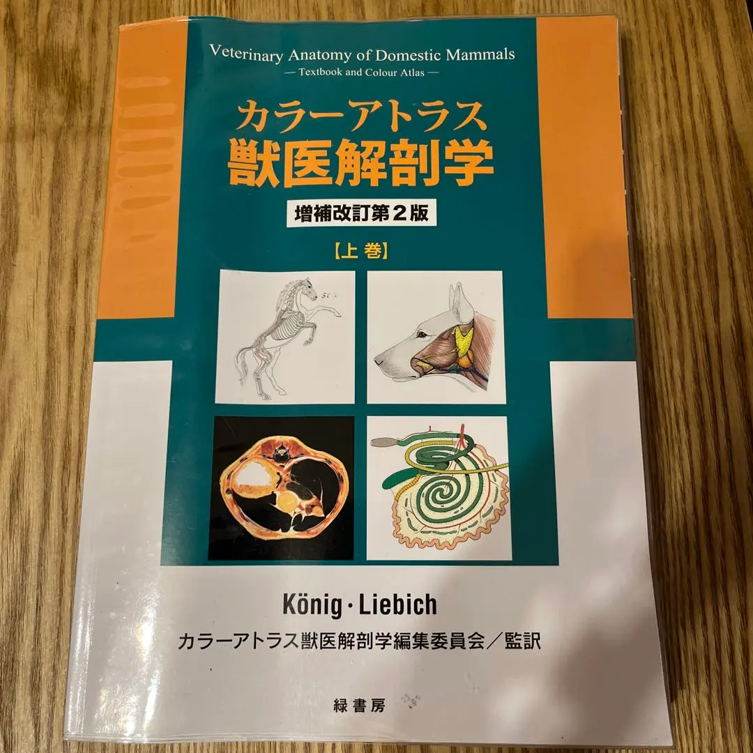 2026年最新】カラーアトラス獣医解剖学〈下巻〉の人気アイテム - メルカリ