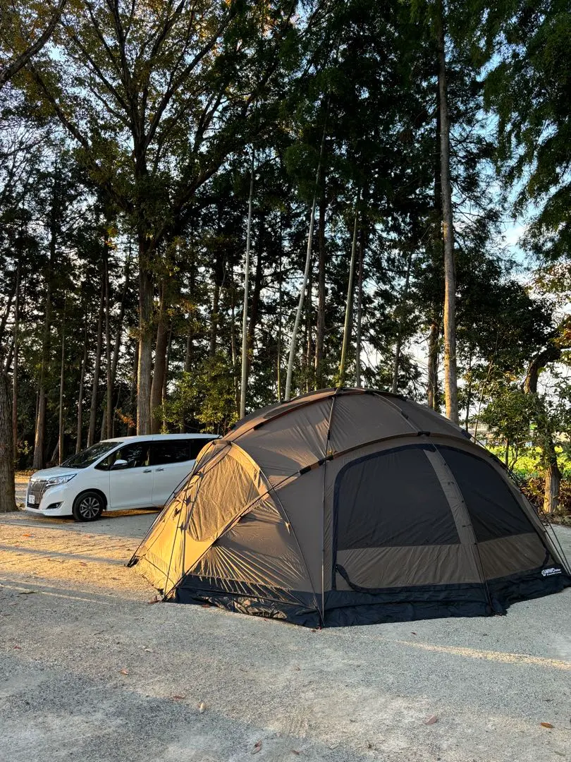 2026年最新】ヤクドームの人気アイテム - メルカリ