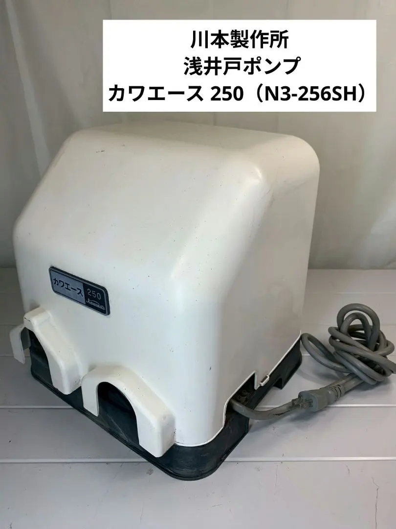 2026年最新】川本ポンプ カワエースの人気アイテム - メルカリ