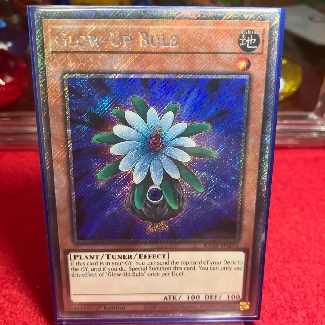 2026年最新】グローアップ・バルブ 英語の人気アイテム - メルカリ