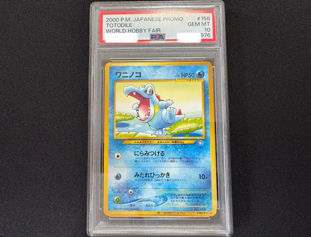 2026年最新】ワニノコ 第11回次世代ワールドホビーフェアの人気