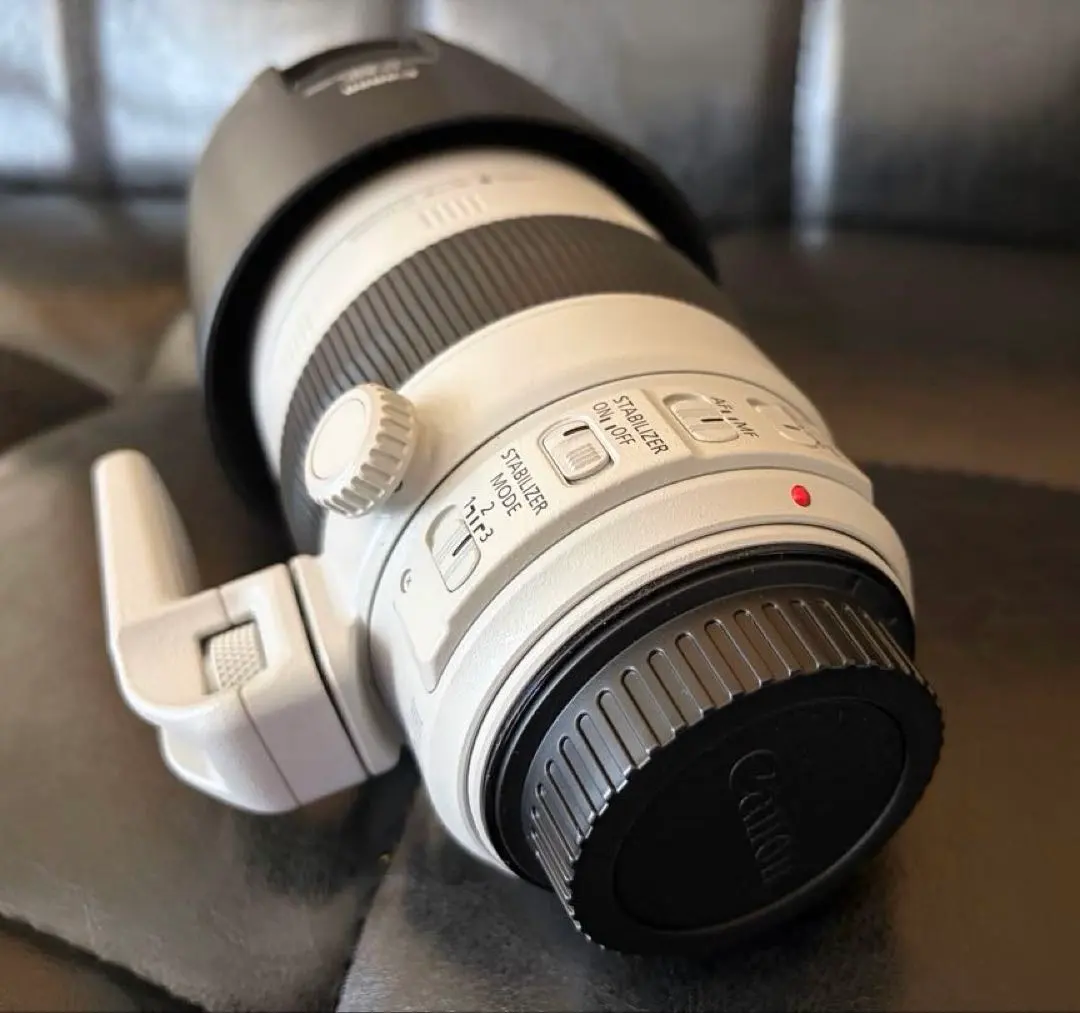 2026年最新】ef100 400mm f4 5 5．6 l is usm 中古の人気アイテム