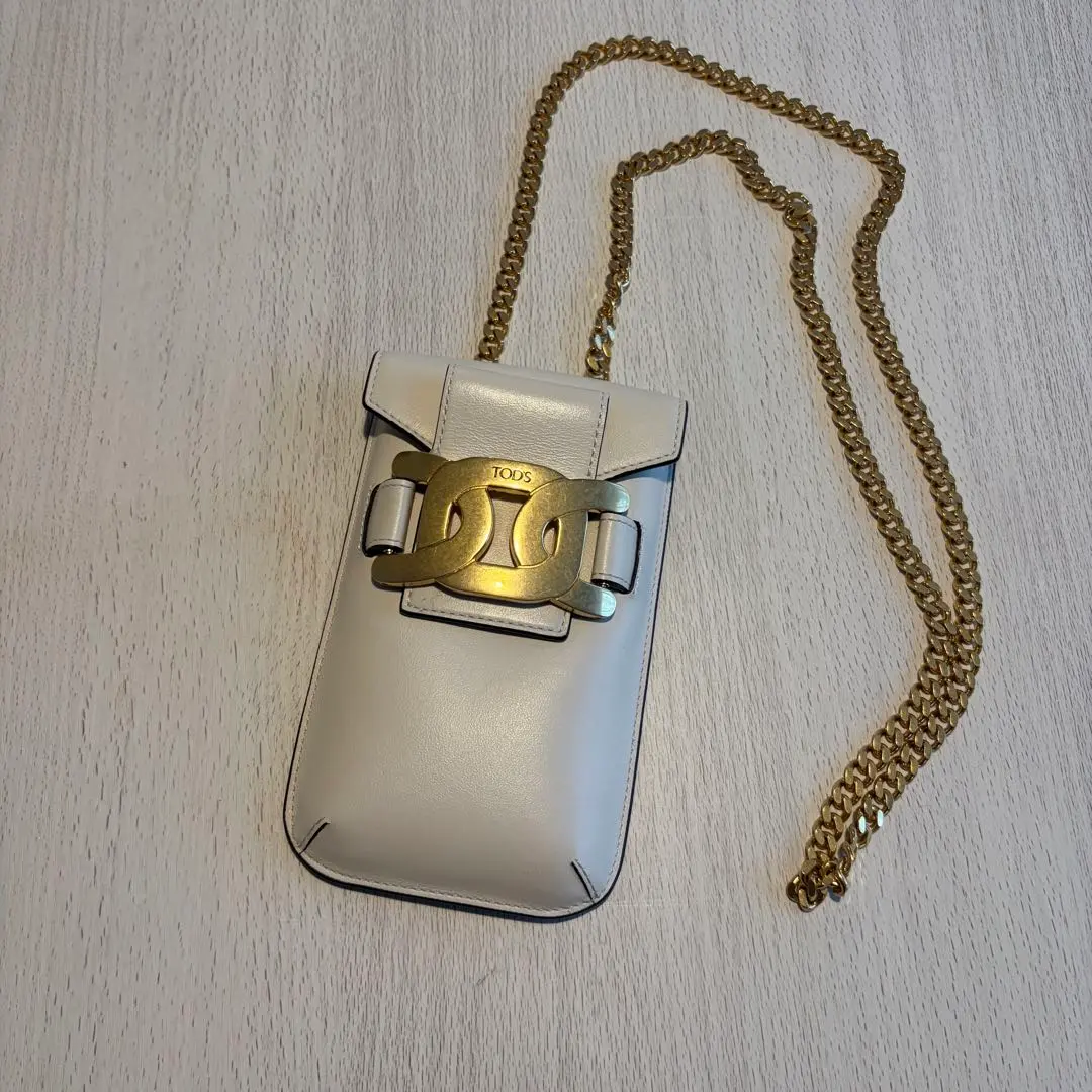 2026年最新】Tod's スマホショルダーバッグの人気アイテム - メルカリ