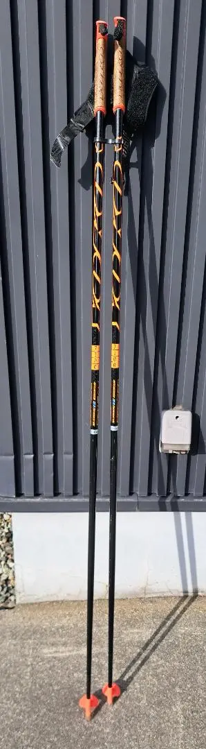 2026年最新】クロスカントリースキー yokoの人気アイテム - メルカリ