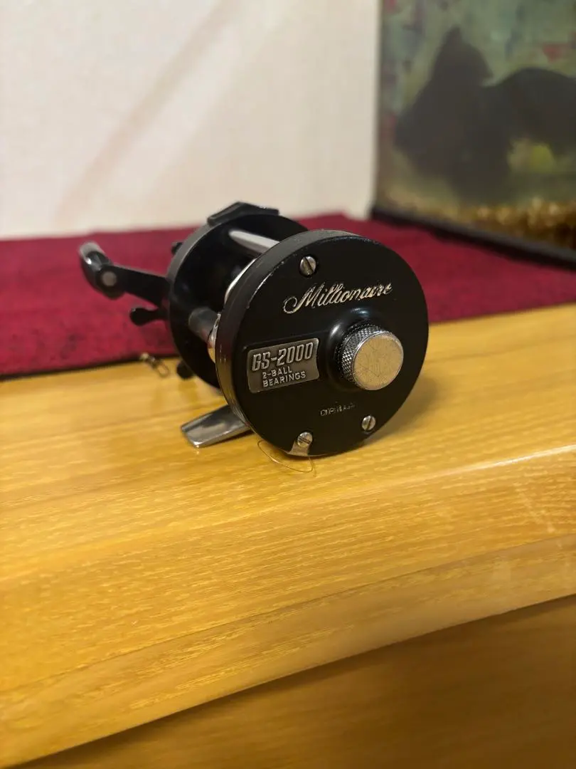 2026年最新】ダイワ ミリオネア GS-2000の人気アイテム - メルカリ