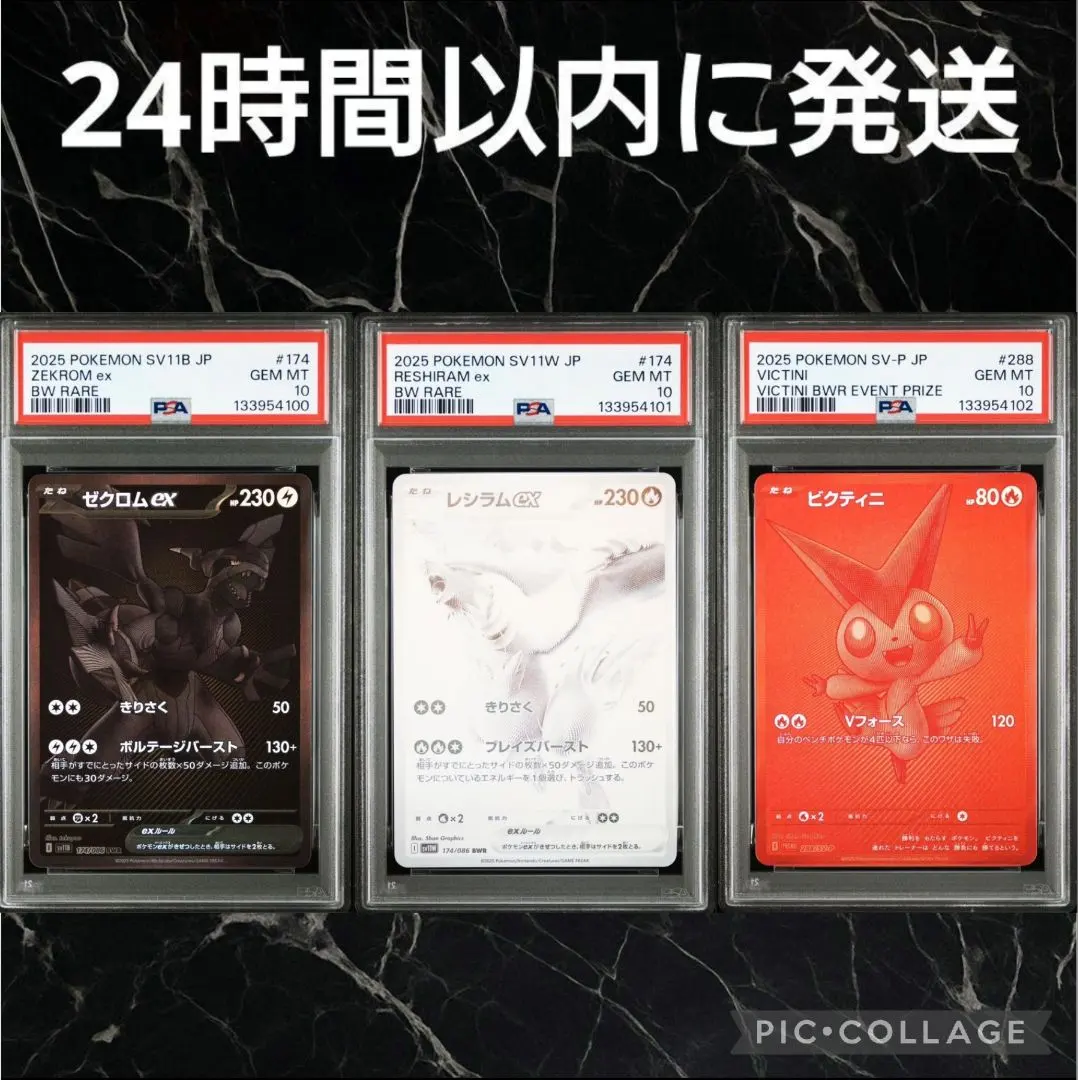 2026年最新】ゼクロムex プロモ psa10の人気アイテム - メルカリ