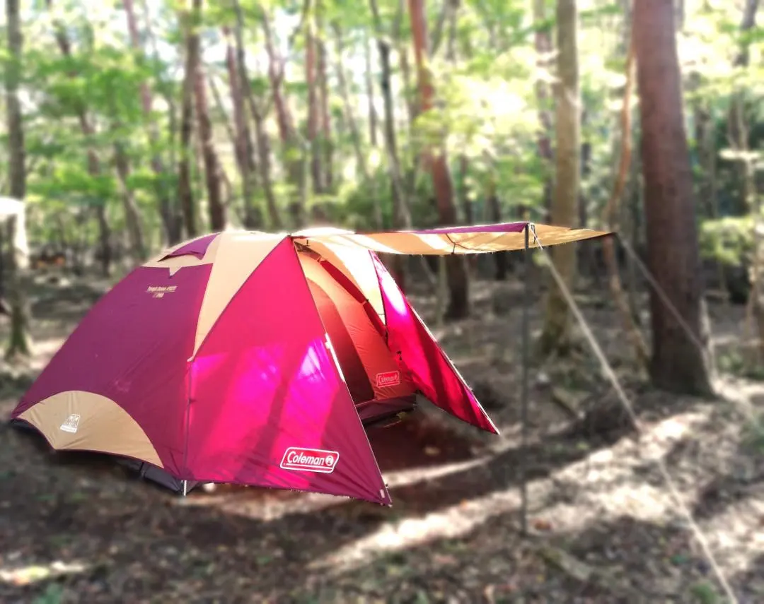 2026年最新】タフドーム3025 バーガンディの人気アイテム - メルカリ