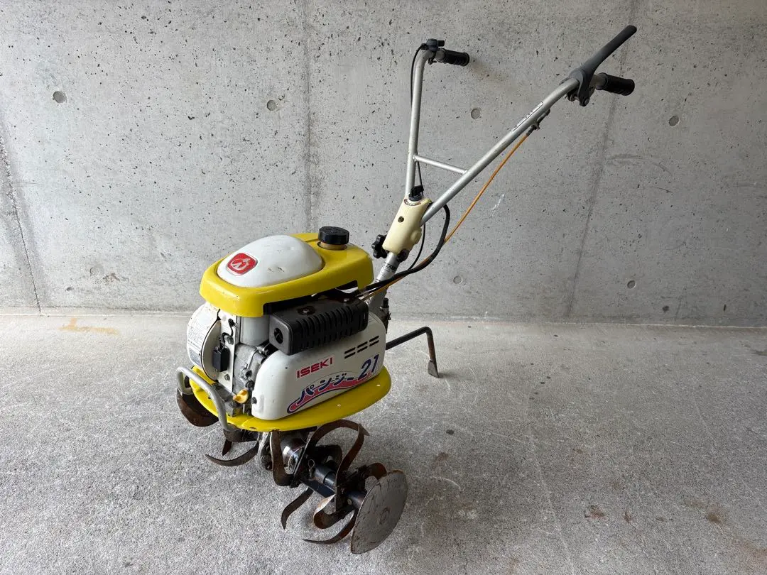 2026年最新】イセキ パンジーの人気アイテム - メルカリ