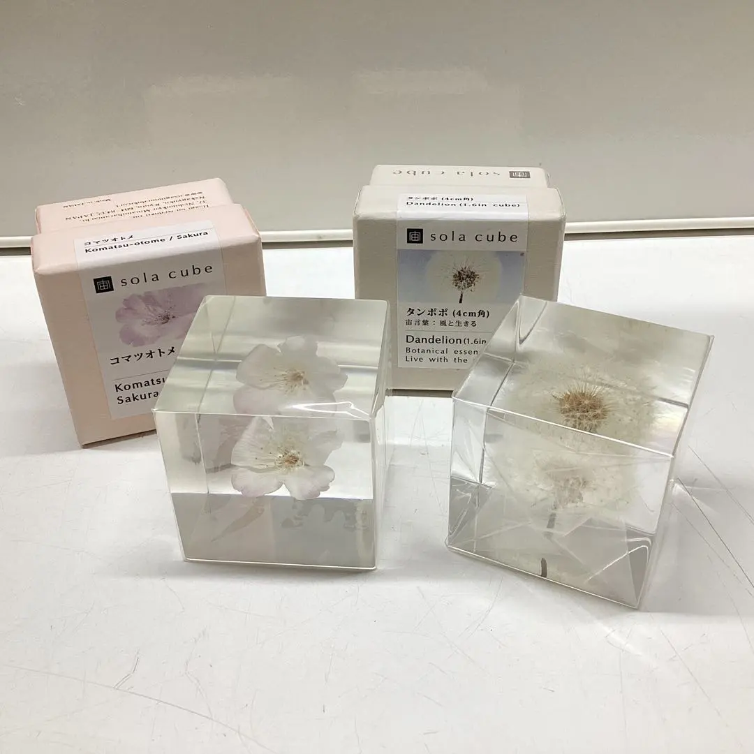 2026年最新】ウサギノネドコの人気アイテム - メルカリ