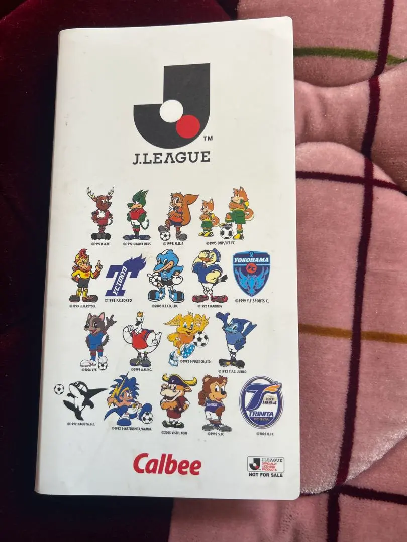 2026年最新】Jリーグチップスファイルの人気アイテム - メルカリ