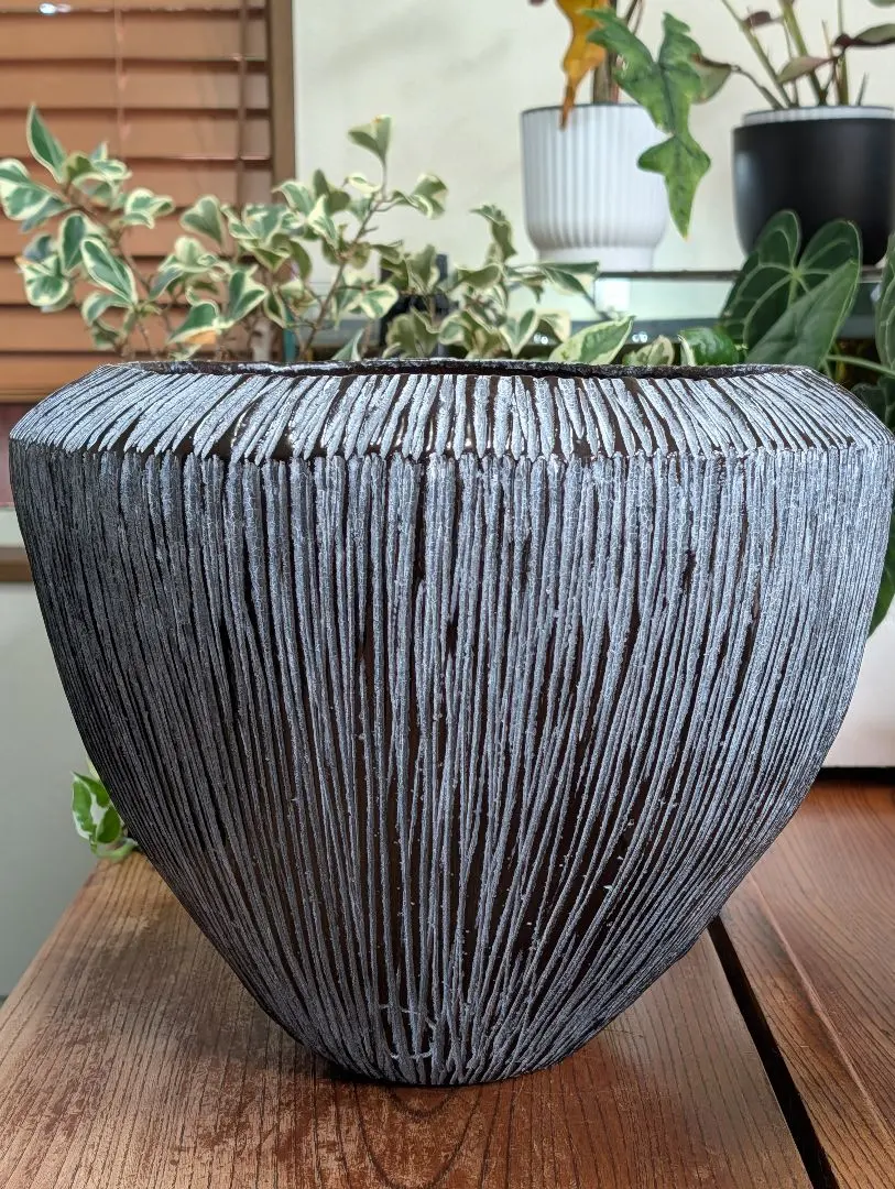 2026年最新】domani ドマーニ 鉢の人気アイテム - メルカリ