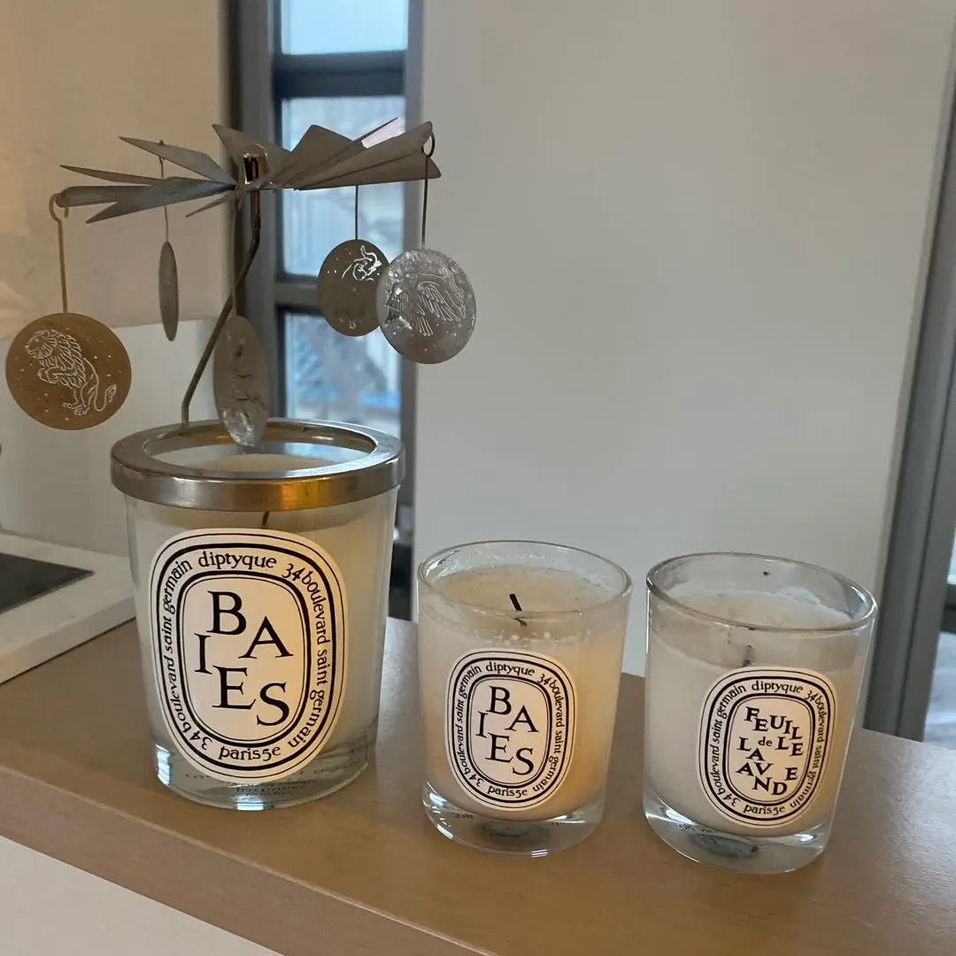 2026年最新】ディップティック カルーセルの人気アイテム - メルカリ