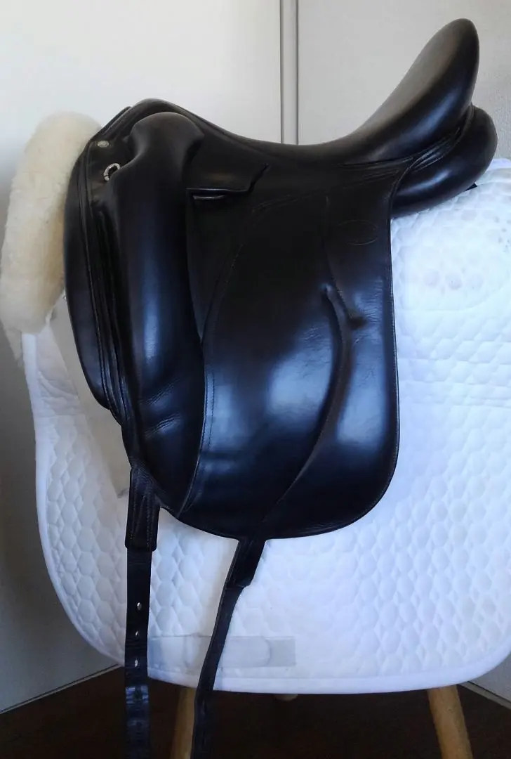 2026年最新】乗馬鞍 馬場鞍の人気アイテム - メルカリ