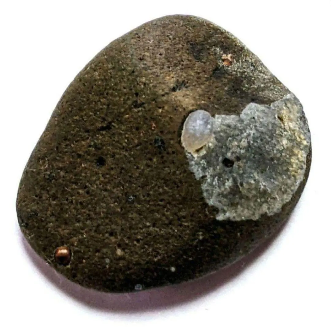 2026年最新】舎利母石の人気アイテム - メルカリ