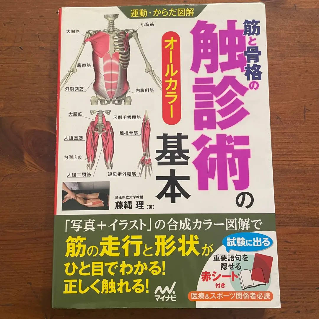 2026年最新】骨格筋の形と触察法の人気アイテム - メルカリ