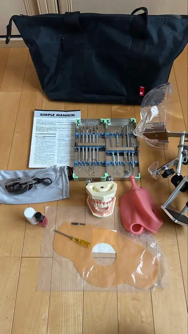 2026年最新】顎模型 歯科衛生士の人気アイテム - メルカリ