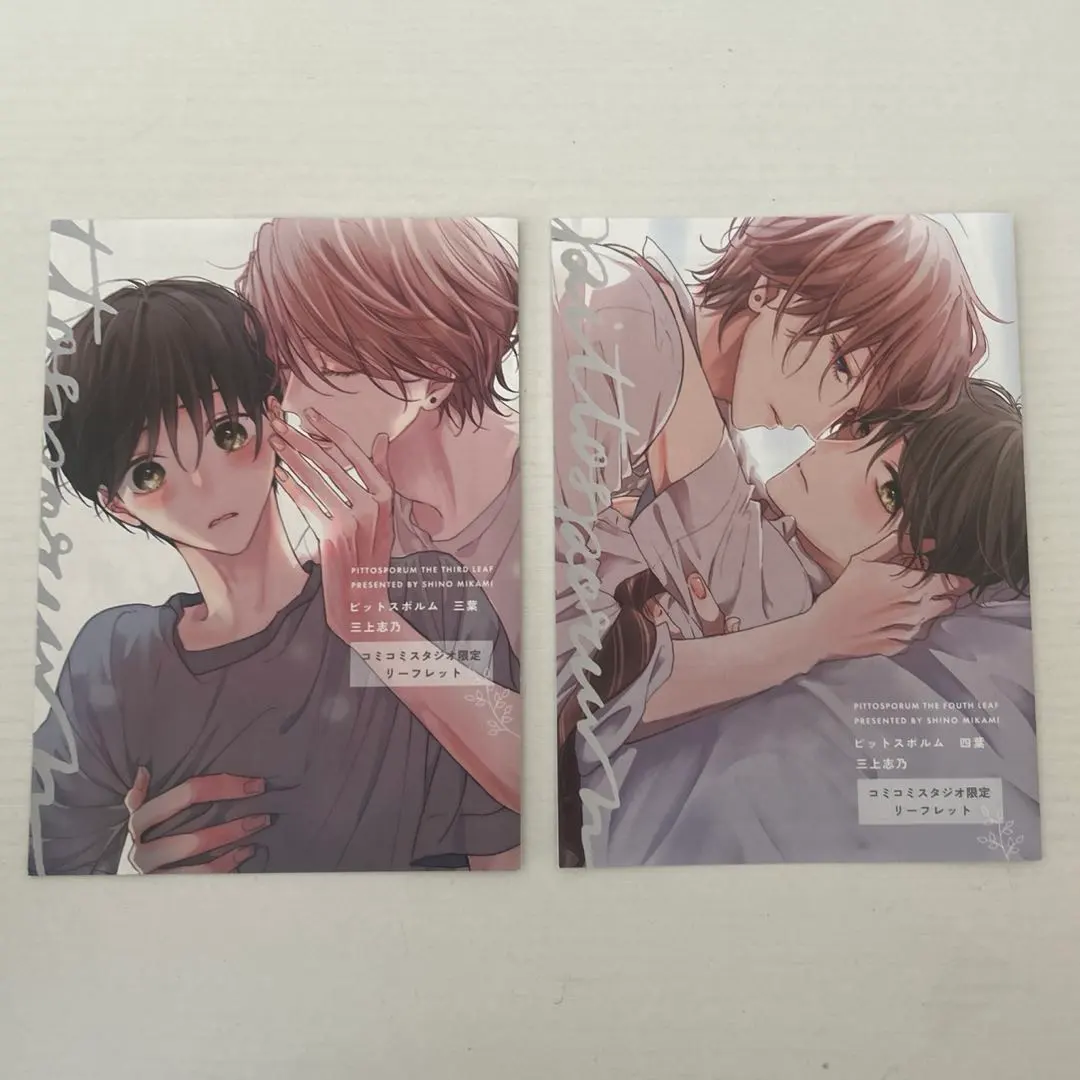 2026年最新】ピットスポルムリーフレットの人気アイテム - メルカリ