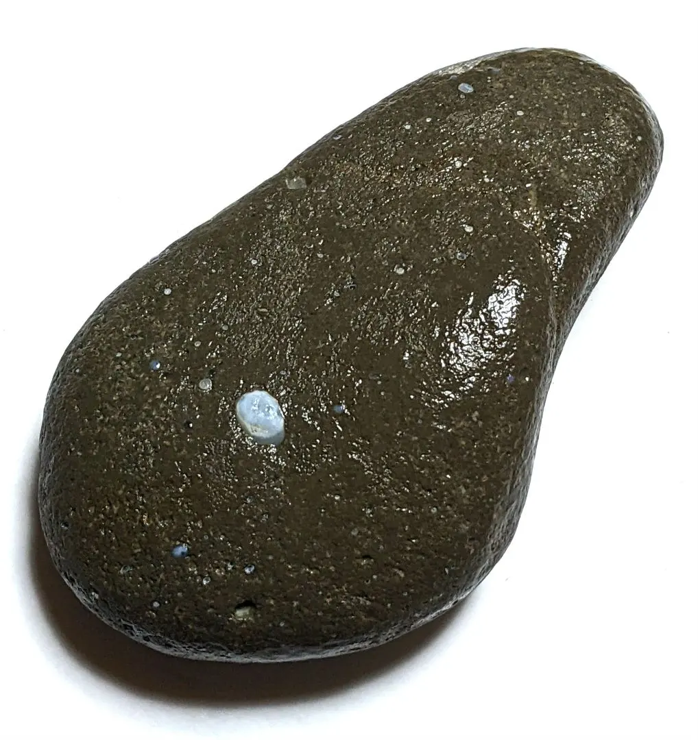 2026年最新】舎利母石の人気アイテム - メルカリ