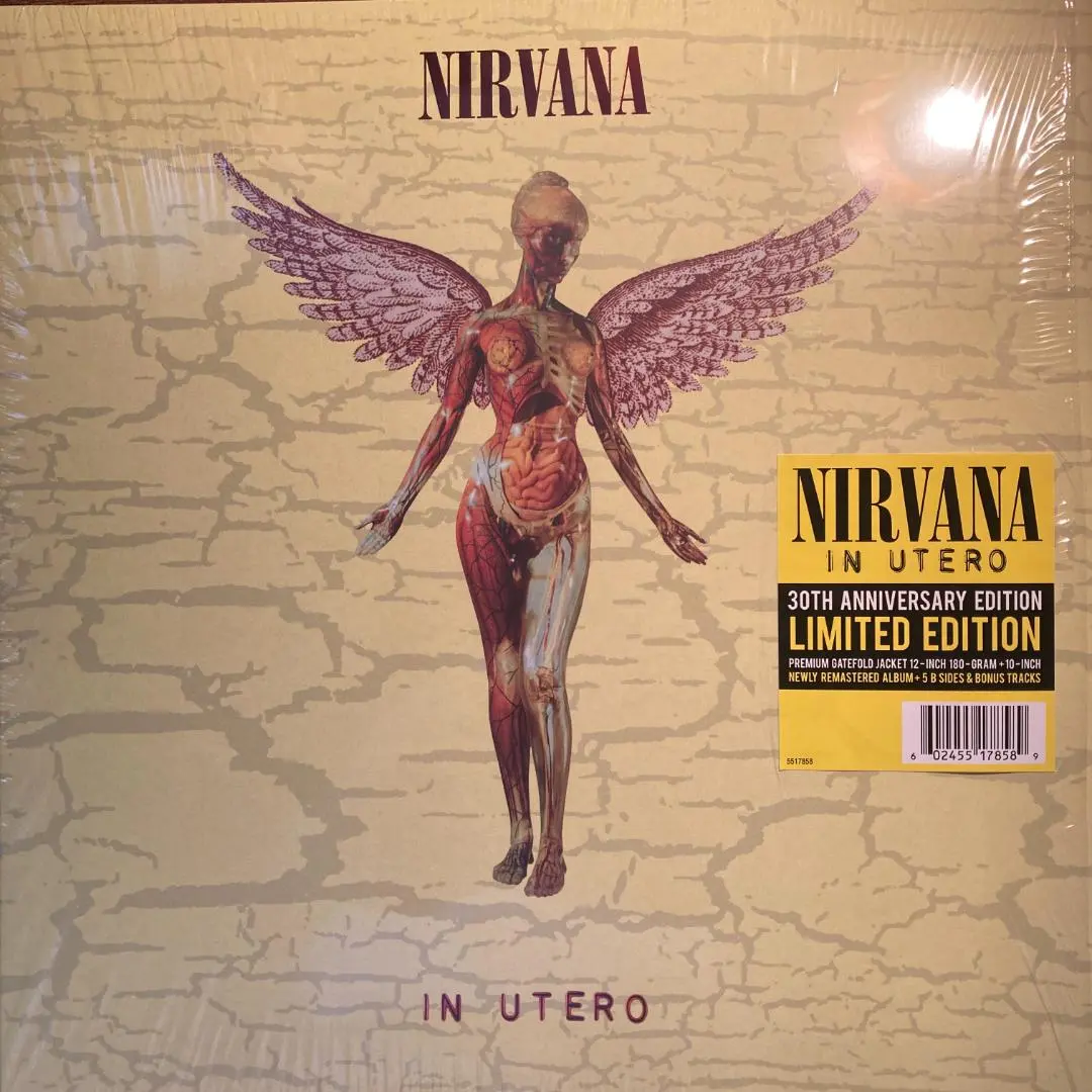 2026年最新】NIRVANA in utero レコードの人気アイテム - メルカリ
