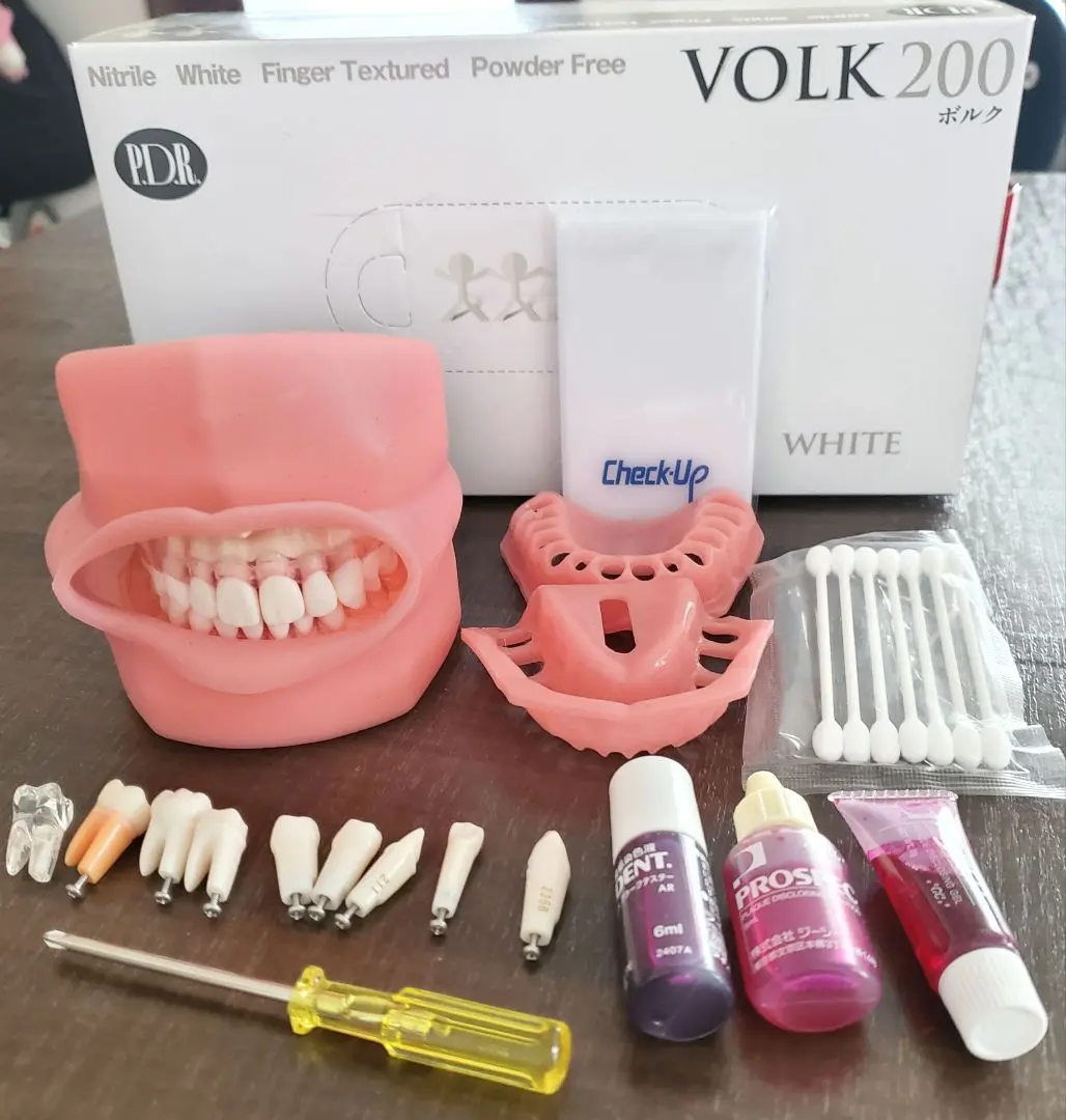 2026年最新】ニッシンデンタルモデルの人気アイテム - メルカリ