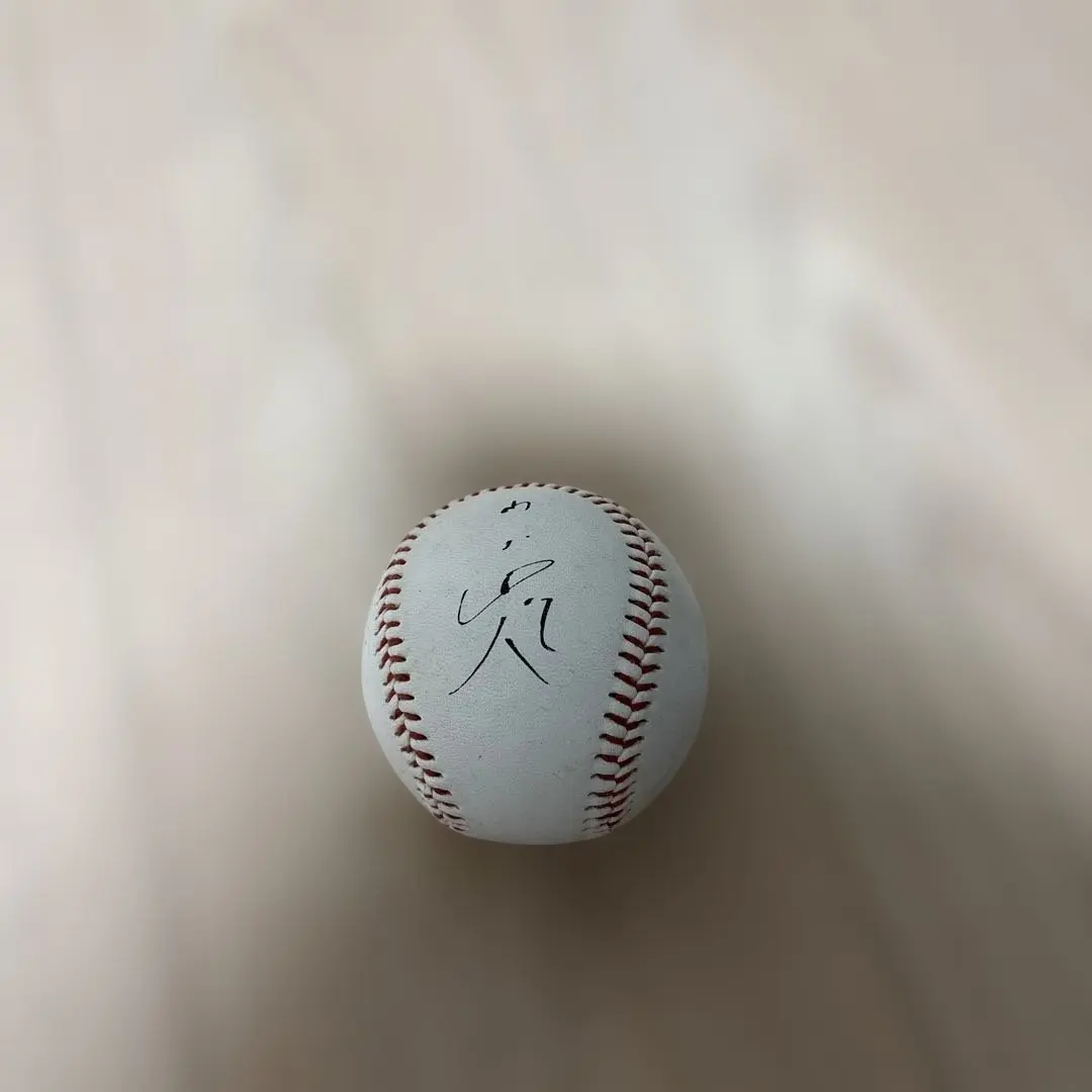 2026年最新】山田哲人 サインボールの人気アイテム - メルカリ