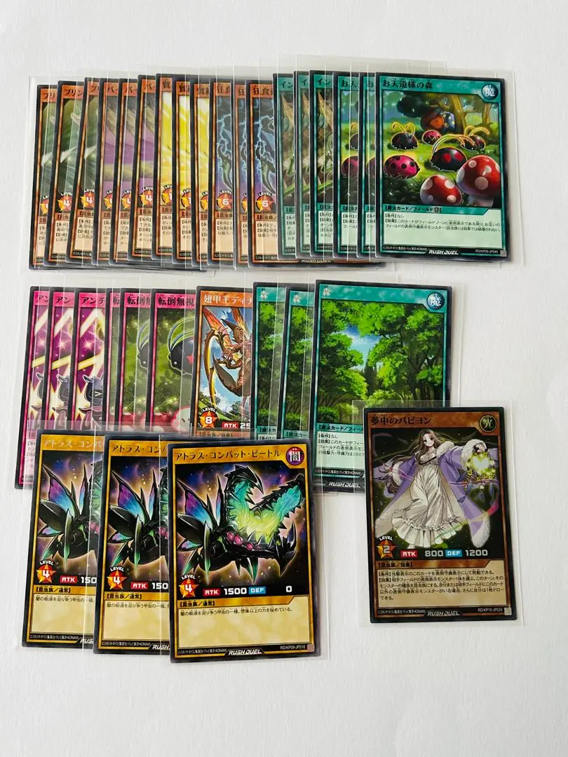 2026年最新】遊戯王ラッシュデュエルカード夢中のパピヨンの人気